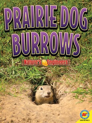 cover image of Prairie Dog Burrows